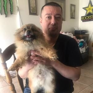 Meet your Posher, Tony